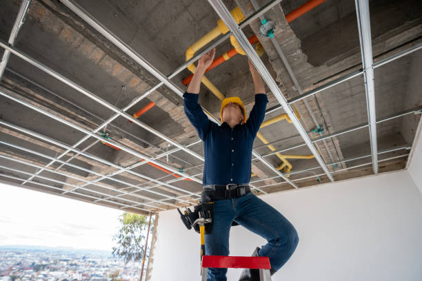 Best Plumbing Inspection Services  in Washburn, IL